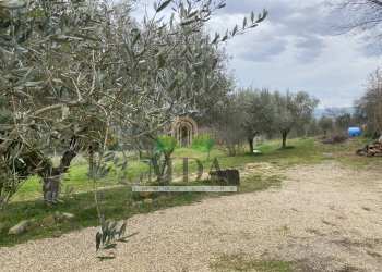 Foto 10 - Terreno agricolo via Piediprato, Spinetoli - foto 10