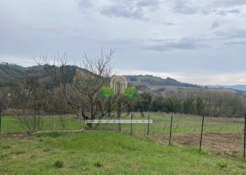 Foto 12 - Terreno agricolo via Piediprato, Spinetoli - foto 12