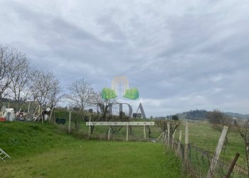 Foto 13 - Terreno agricolo via Piediprato, Spinetoli - foto 13