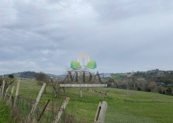 Foto 14 - Terreno agricolo via Piediprato, Spinetoli - foto 14