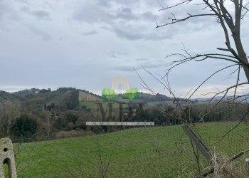 Foto 15 - Terreno agricolo via Piediprato, Spinetoli - foto 15