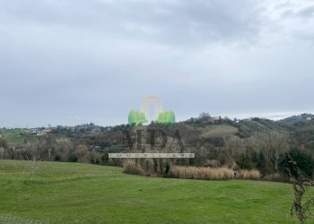 Foto 16 - Terreno agricolo via Piediprato, Spinetoli - foto 16