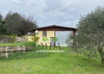 Foto 17 - Terreno agricolo via Piediprato, Spinetoli - foto 17