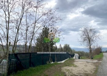 Foto 20 - Terreno agricolo via Piediprato, Spinetoli - foto 20