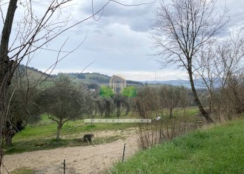 Foto 21 - Terreno agricolo via Piediprato, Spinetoli - foto 21