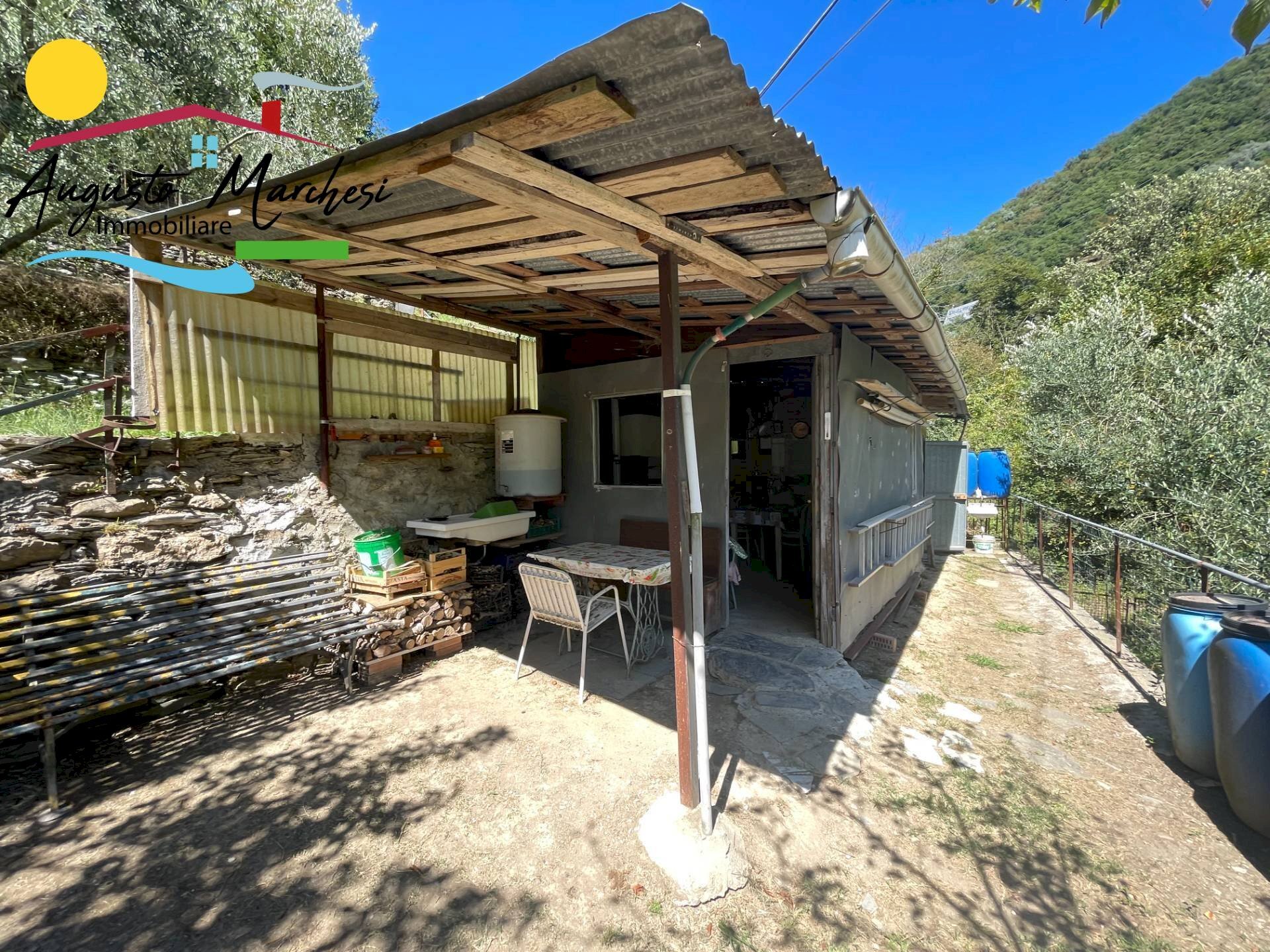 Foto 3 - Agricultural land Passo Selvatico, Avegno - photo 3