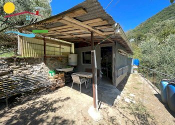 Foto 3 - Agricultural land Passo Selvatico, Avegno - photo 3