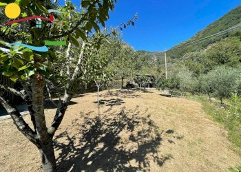 Foto 4 - Agricultural land Passo Selvatico, Avegno - photo 4