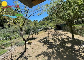 Foto 6 - Agricultural land Passo Selvatico, Avegno - photo 6