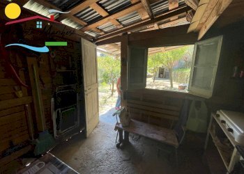 Foto 11 - Agricultural land Passo Selvatico, Avegno - photo 10