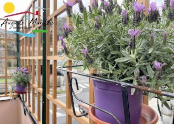 Foto 7 - Quadrilocale Via Assereto
 
84, Recco - foto 7