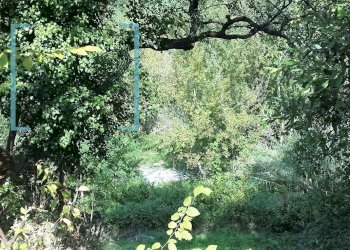 Foto 11 - Rustico ranzo, Ranzo - foto 11