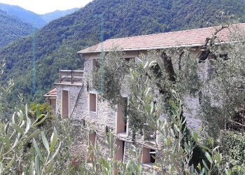 Foto 4 - Rustico borgata arma, Ranzo - foto 4