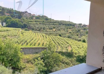 Foto 19 - Rustico borgata arma, Ranzo - foto 19