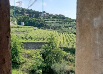 Foto 24 - Rustico borgata arma, Ranzo - foto 24