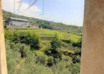 Foto 26 - Rustico borgata arma, Ranzo - foto 26