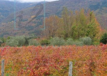 Foto 46 - Rustico via IV NOVEMBRE, Pornassio - foto 46