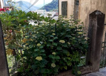 Foto 33 - Rustico via chiappa, Rezzo - foto 33