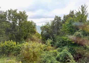 Foto 13 - Bilocale Località casoni, Aurigo - foto 13