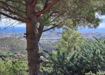 Foto 7 - Villa via Pineta, Cisano sul Neva - foto 7