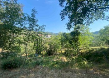 Foto 4 - Terreno edificabile località bricco, Calice Ligure - foto 4