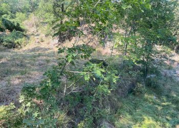 Foto 7 - Terreno edificabile località bricco, Calice Ligure - foto 6