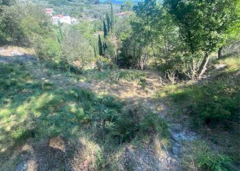 Foto 10 - Terreno edificabile località bricco, Calice Ligure - foto 9