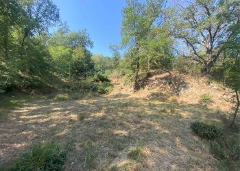 Foto 11 - Terreno edificabile località bricco, Calice Ligure - foto 10