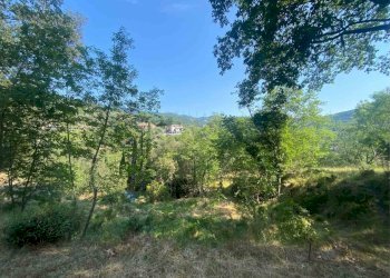 Foto 14 - Terreno edificabile località bricco, Calice Ligure - foto 13