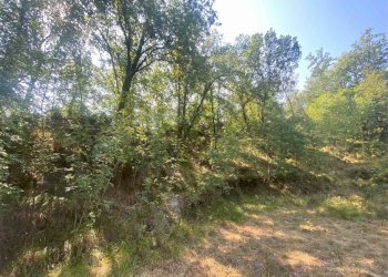 Foto 15 - Terreno edificabile località bricco, Calice Ligure - foto 14