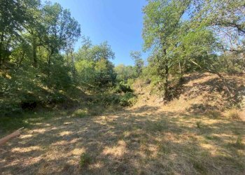 Foto 17 - Terreno edificabile località bricco, Calice Ligure - foto 16