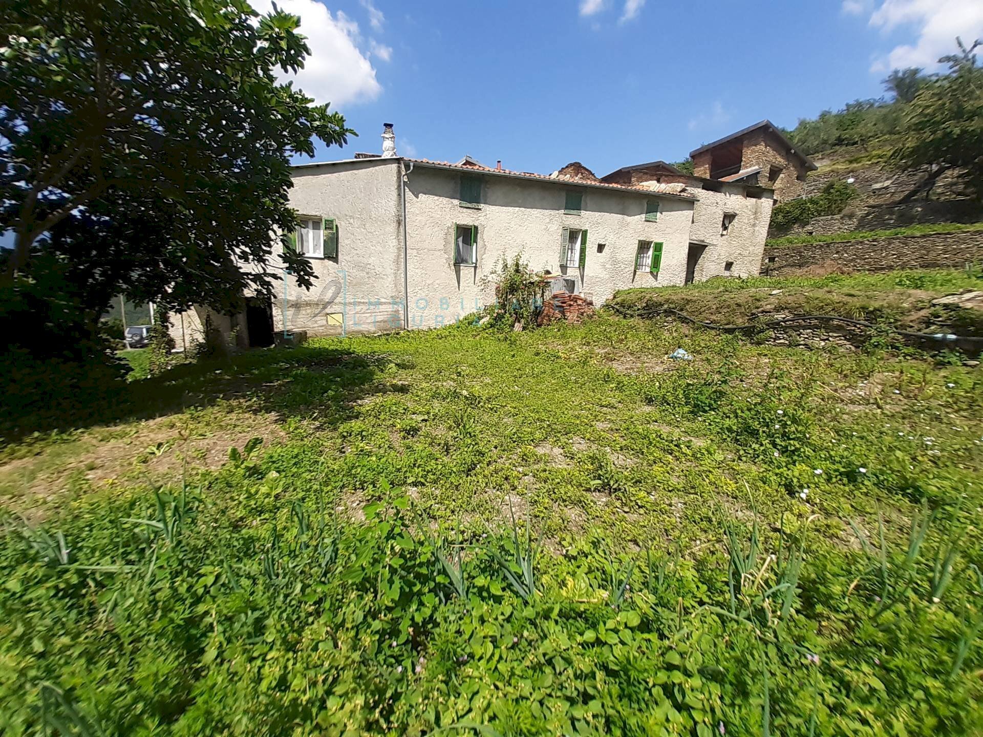 Foto 1 - Rustico strada provinciale, Pieve di Teco - foto 1