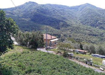 Foto 21 - Rustico strada provinciale, Pieve di Teco - foto 21