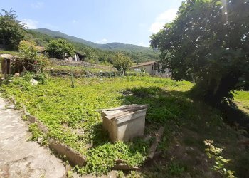 Foto 29 - Rustico strada provinciale, Pieve di Teco - foto 29