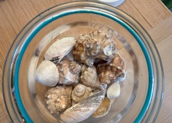 Foto 50 - Bilocale Via Oddo, Albenga - foto 50