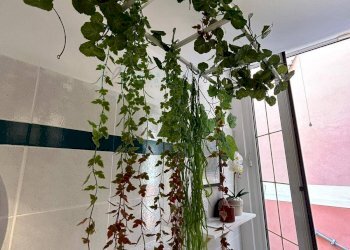 Foto 52 - Bilocale Via Oddo, Albenga - foto 52