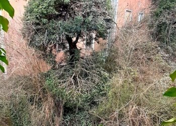 Foto 14 - Rustico Via Lucifredi, Borghetto d'Arroscia - foto 14