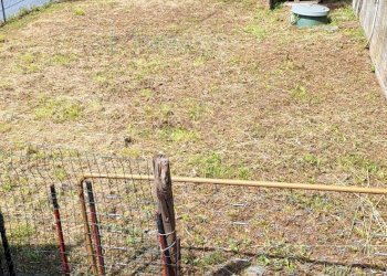 Foto 53 - Rustico Via Pennavaire, Castelbianco - foto 53