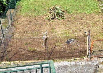 Foto 55 - Rustico Via Pennavaire, Castelbianco - foto 55