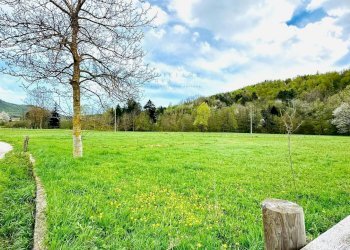 Foto 7 - Rustico Via Tembien, Bardineto - foto 7