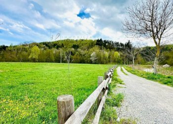 Foto 8 - Rustico Via Tembien, Bardineto - foto 8