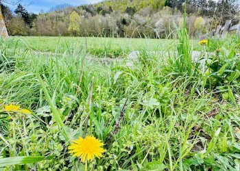 Foto 10 - Rustico Via Tembien, Bardineto - foto 10