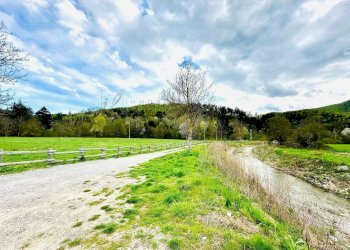 Foto 12 - Rustico Via Tembien, Bardineto - foto 12