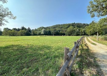 Foto 68 - Rustico Via Tembien, Bardineto - foto 68