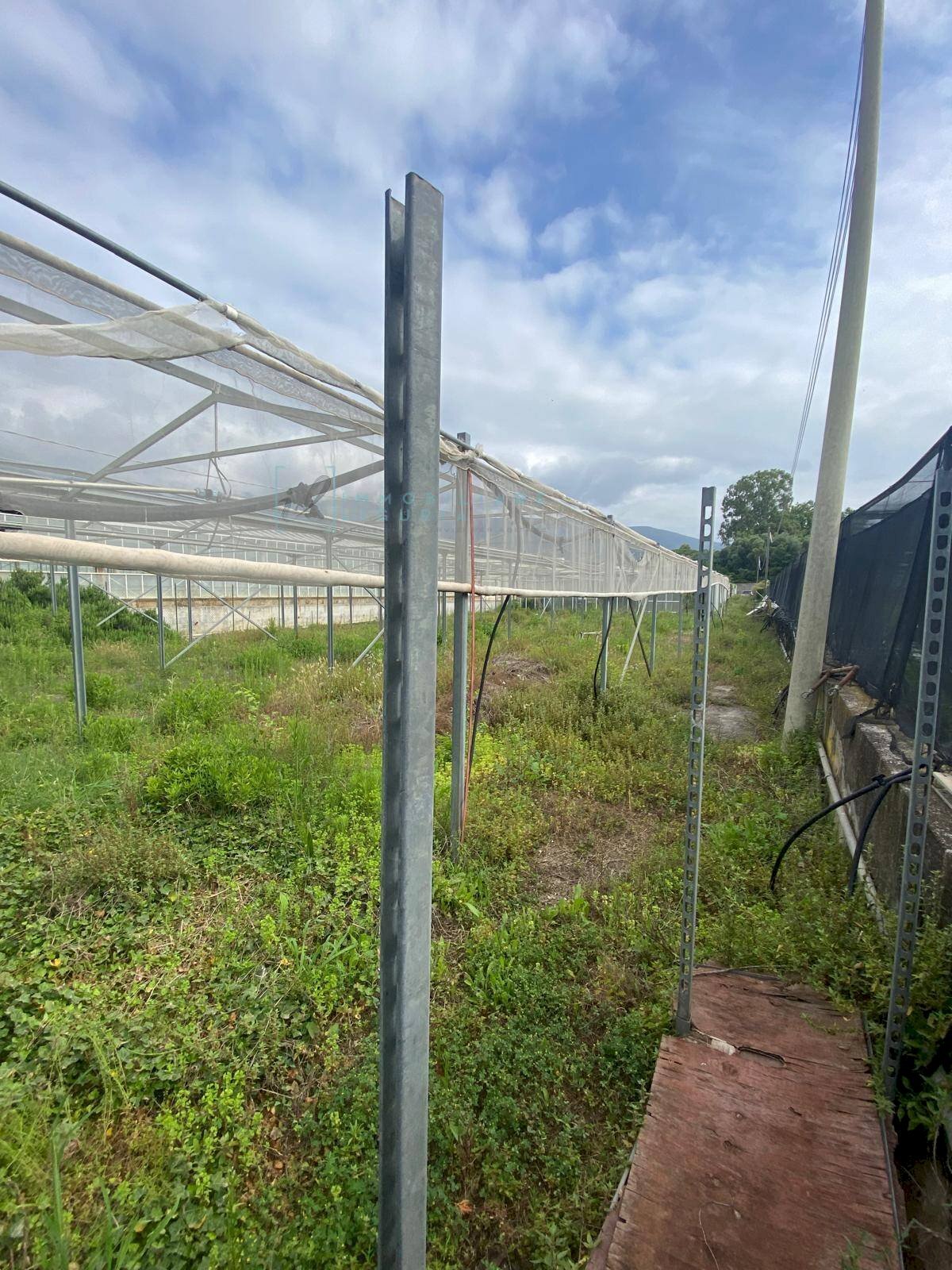 Foto 1 - Terreno agricolo regione prato grande albenga, Albenga - foto 1