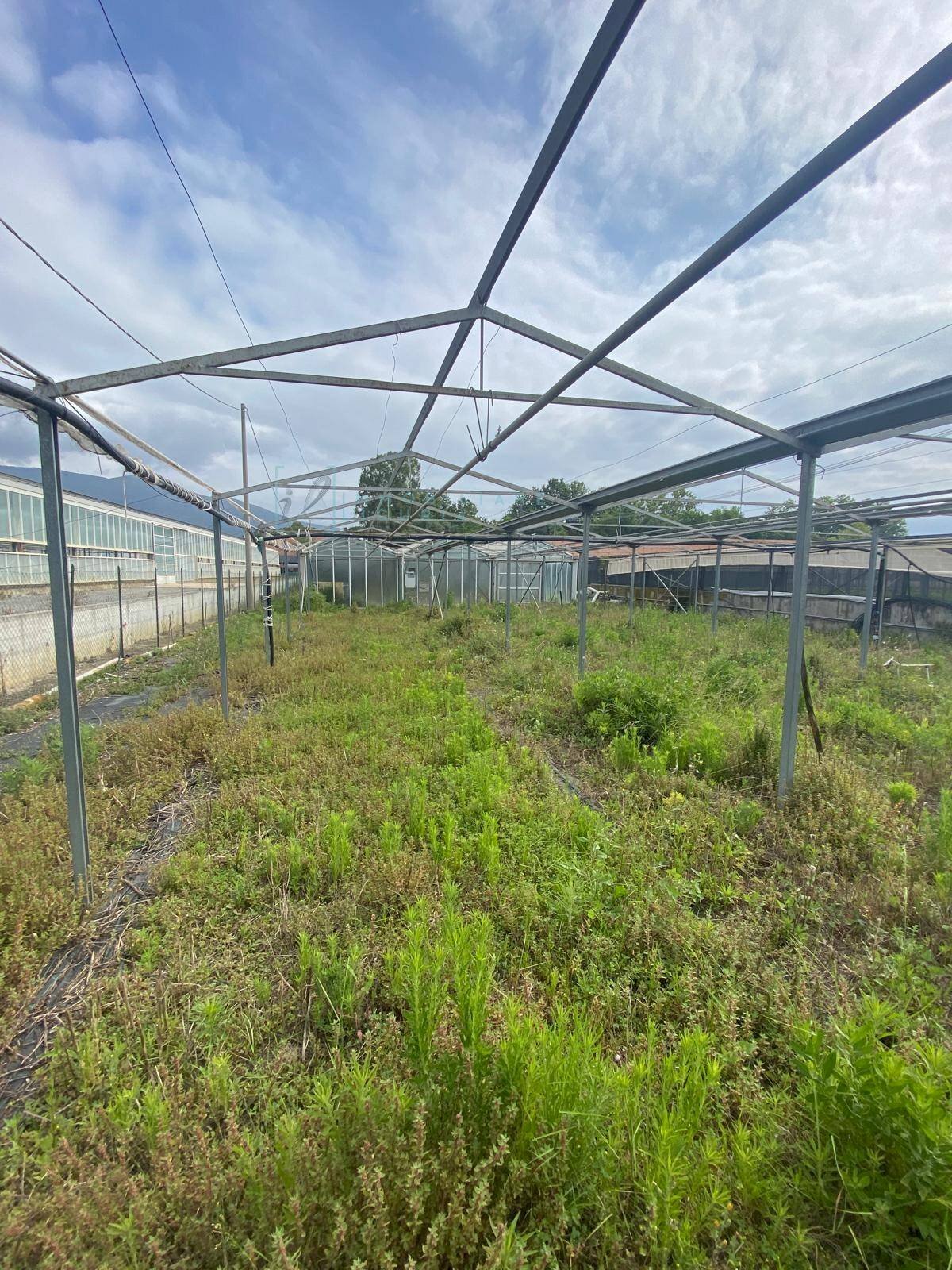 Foto 2 - Terreno agricolo regione prato grande albenga, Albenga - foto 2