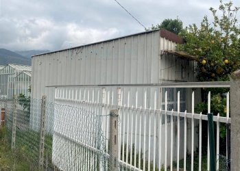 Foto 3 - Terreno agricolo regione prato grande albenga, Albenga - foto 3