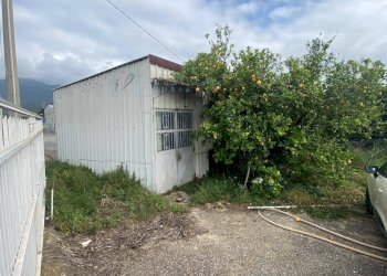 Foto 4 - Terreno agricolo regione prato grande albenga, Albenga - foto 4