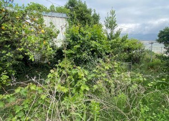 Foto 5 - Terreno agricolo regione prato grande albenga, Albenga - foto 5