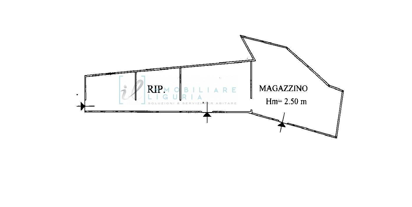 Foto 17 - Terreno agricolo San Fedele, Albenga - planimetria 1
